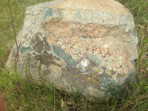 Гигантские зелёные валуны для ландшафтного дизайна весом более 5 тонн купить в Бронницах