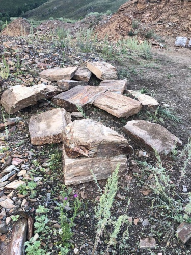 Плитняк кора дерева 50-100мм для пошаговых дорожек купить в Бронницах